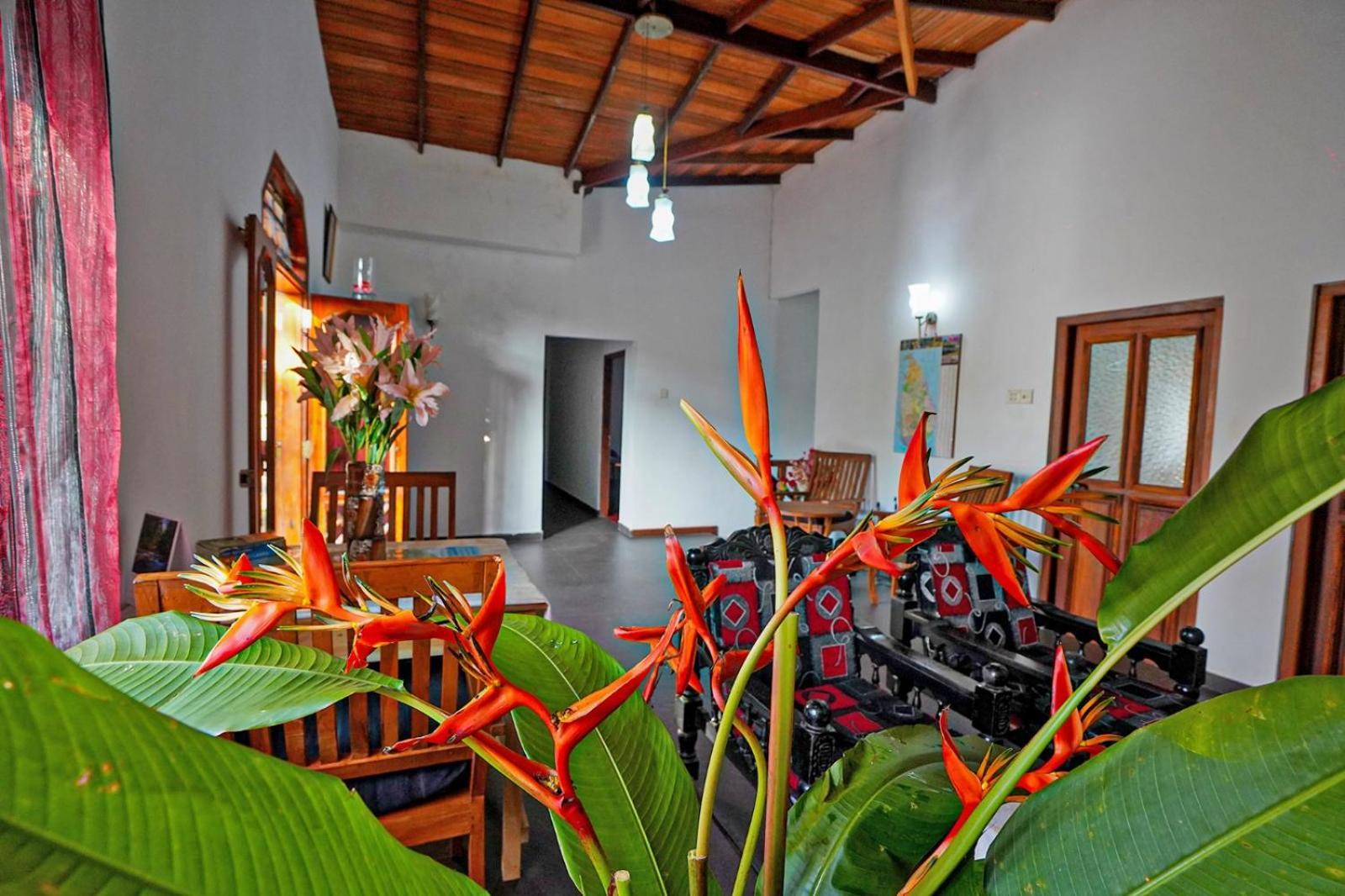 4Ty Two Homestay Галле Экстерьер фото