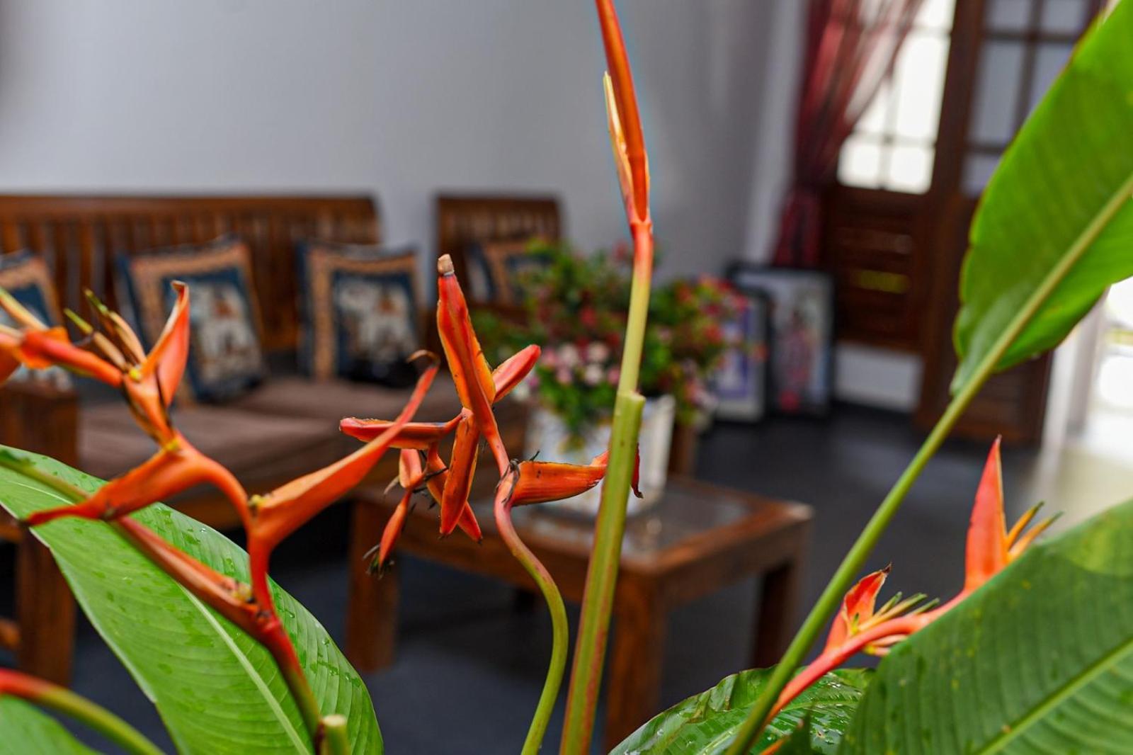 4Ty Two Homestay Галле Экстерьер фото